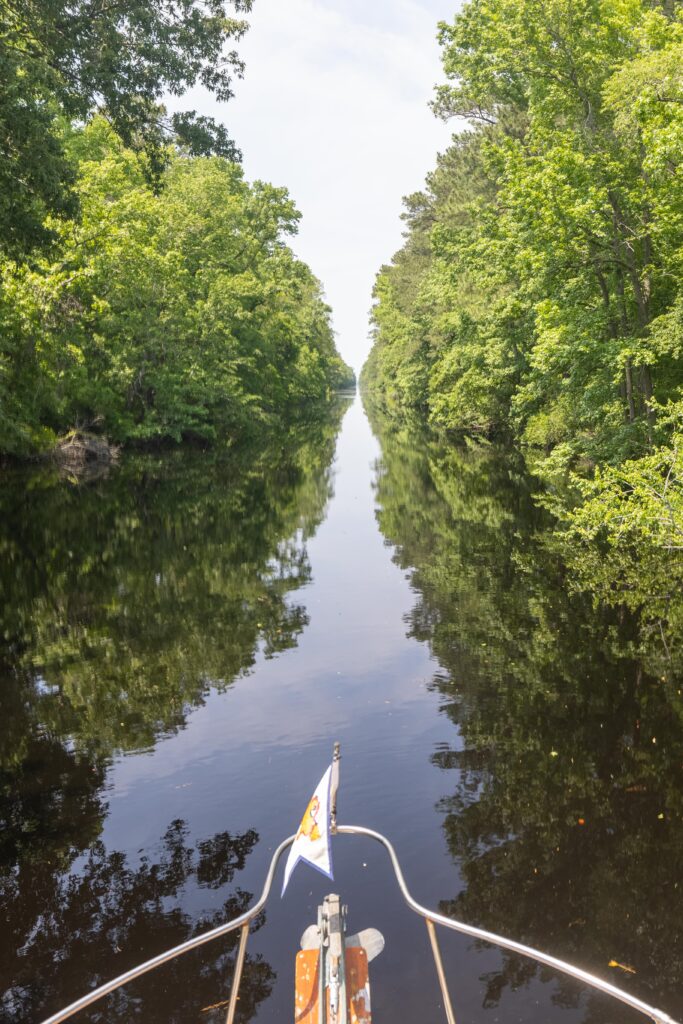 Great Dismal Swamp Canal on America's Great Loop